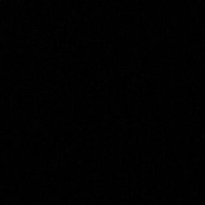 Meet your Posher, Jackson